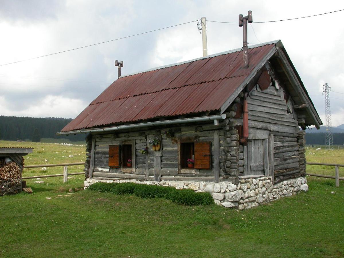 Hotel Alpi - Foza Bagian luar foto